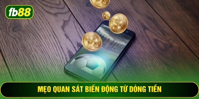 Mẹo quan sát biến động từ dòng tiền